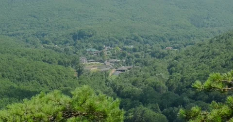 A small settlement in the forest Stock Footage 156629729