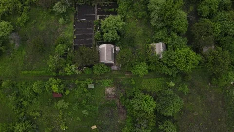 A small settlement located in the forest. aerial shooting Stock Footage 155797716