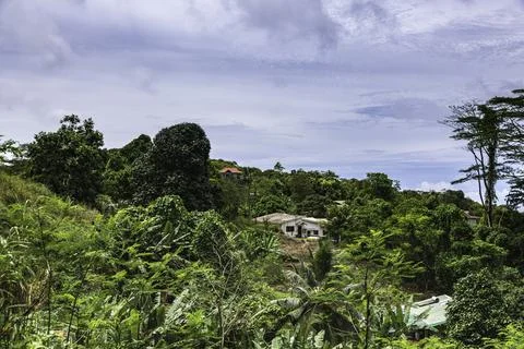 Small Settlement In The Rainforest Stock Photos