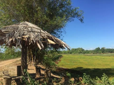 Small shack by a field Foto stock