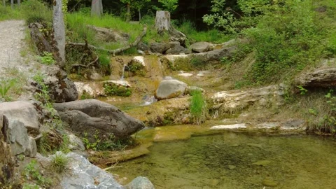 Small shallow forest river cascade with clear water and large stones Stock Footage 334869135