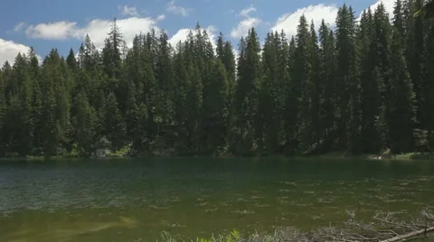 Small shallow mountain lake surrounded by pine forests. Stock Footage 8560064