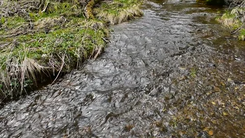 Small shallow river Stock Footage 130640364