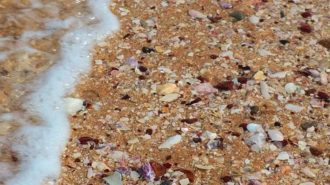 Small shell fragments and stones floating in the waves Stock Footage 160847476