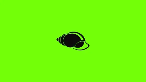 Small shell icon animation Stock Footage 157503781