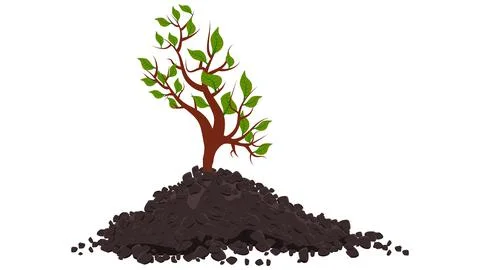 Small shoot of tree with green leaves in pile of soil isolated on white. Stock Illustration