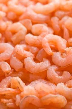 Small shrimps Stock Photos