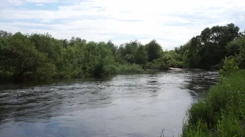 A small Siberian river with a strong current, summer, cloudy day Stock Footage 156429474