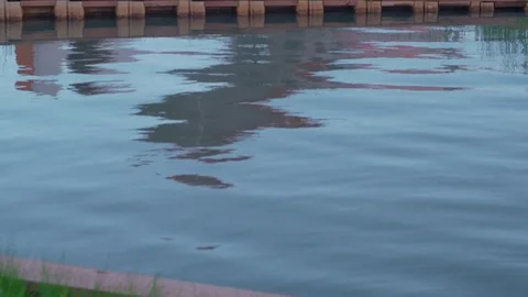 Small Single Engine Seaplane Floating in the Water at Airport in Anchorage Video stock 83122990