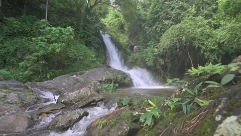 Small sized waterfall in the forest. Wet and windy. Stock Footage 239606594
