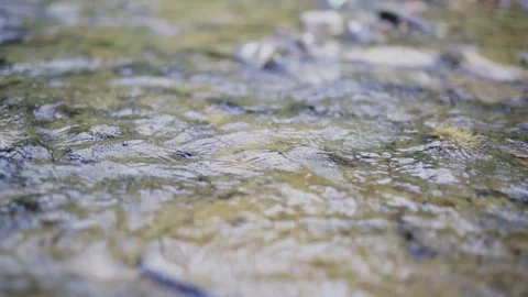 Small slow flowing stream pan 動画素材 86608958