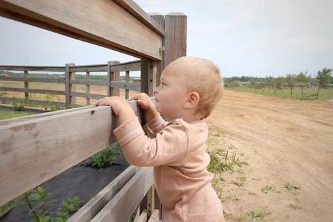 A small smiling boy in beige clothes is standing near the fence Stock Photos