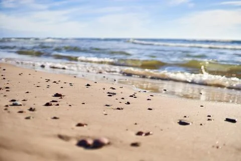 Small smooth pebbles lie on the sand near the shoreline. Selective focus Stock Photos