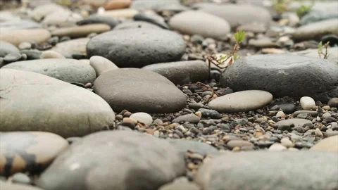 Small smooth stones on the seashore. Stock Footage 220576300