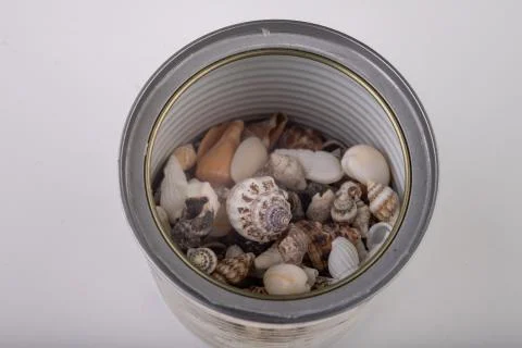 Small snail shells sprinkled out of the can. Shells in a metal container. 스톡 사진
