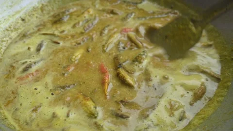 Small Snakehead or Channa orientalis fish curry. Stock Footage 321379153