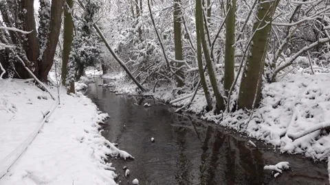A small, snow-covered stream flows through a quiet, bare winter forest, Stock Footage 329944877