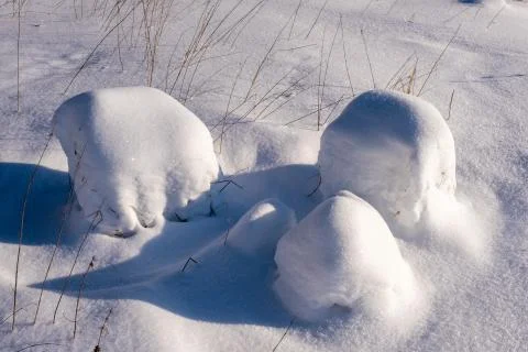 Small snow mounds and thin stems of dry plants. Stock Photos