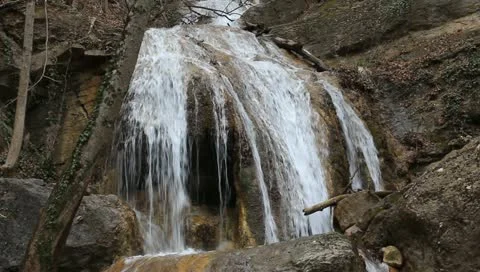 Small snowdrop bush Video stock 10896935