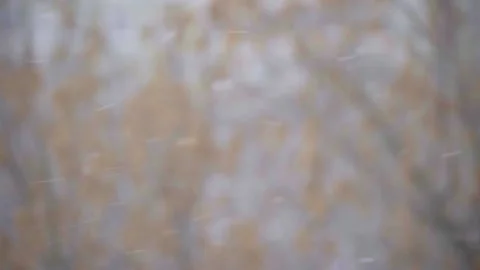 Small snowfall in slow motion Video stock 148619914