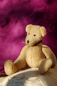 Small soft toy bear sitting on home furnishings Stock Photos