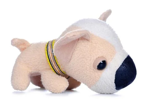 Small soft toy dog Stock Photos