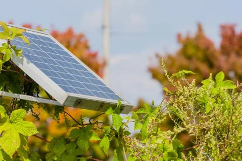 Small solar panel in bushes Stock Photos