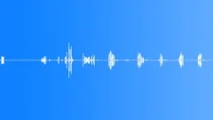 Small Song Bird 2Sound Effect