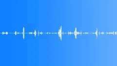 Small Song Bird 3 Sound Effect