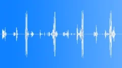 Small Song Bird Sound Effect