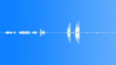 Small Songbird 4Sound Effect