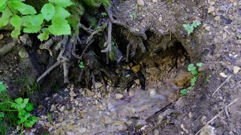 Small source of water from the ground Stock Footage 142464768