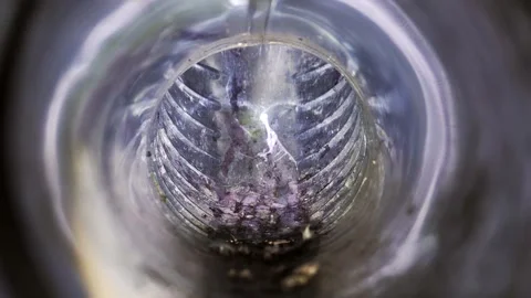 Small sparrow bird trapped inside a metal ventilation pipe. Stock Footage 339303281