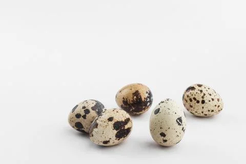 Small Speckled Quail Eggs on White Background Foto stock