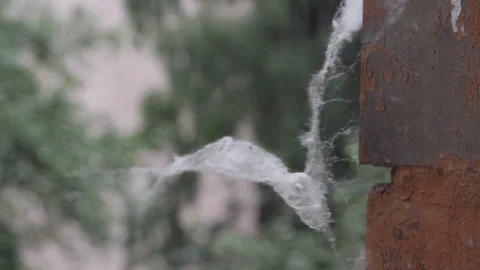 Small spider web on the wind Video stock 103287800