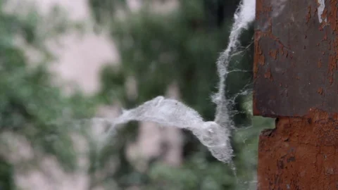 Small spider web on the wind Video stock 103287810