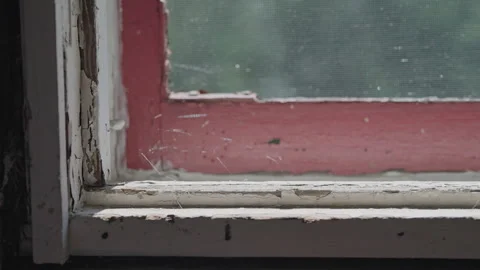 Small spider webs in an old cabin window sill. Stock Footage 279818834