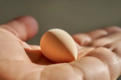 Small sponge in a woman's hand. Stock Photos