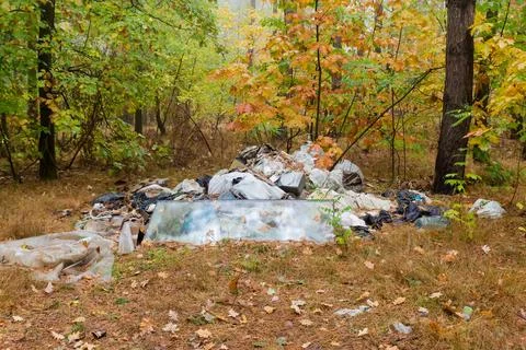 Small spontaneous dump in autumn forest in overcast morning Foto stock