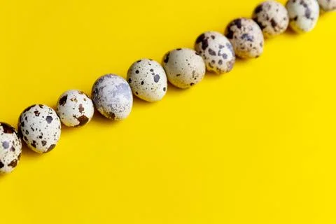 Small spotted quail eggs.Quail eggs pattern. Happy easter concept. Minimal Stock Photos