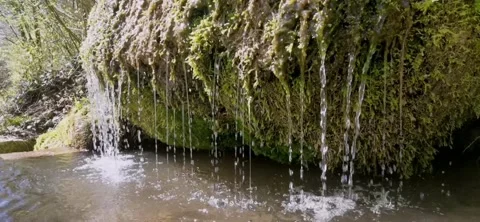 Small spring and moss on a hiking trail in Switzerland Stock Footage 271182072