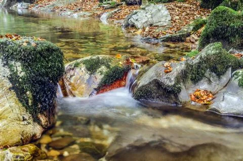 Small spring inside the navarra's forest Stock Photos