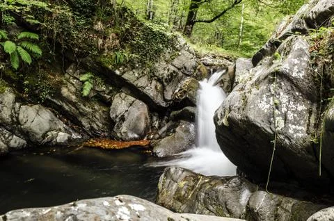 Small spring inside the Navarra's forest Stock Photos