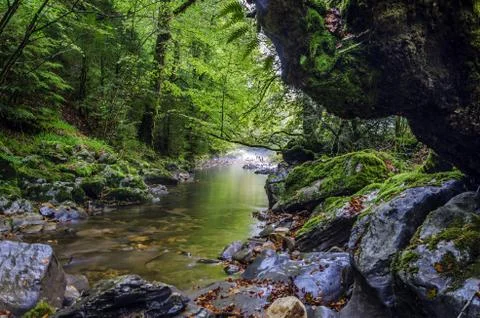 Small spring inside the Navarra's mountain Stock Photos