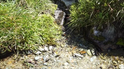 Small spring in the mountains (Valle d'Ayas, Aosta Valley, Italy) Stock Footage 296055936