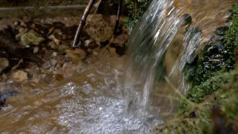 Small spring in peaceful forest 4 Stock Footage 117251849