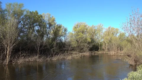 Small spring river. 4K stock video footage Video stock 103940018
