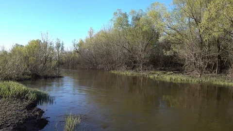 Small spring river. 4K stock video footage Video stock 103940080