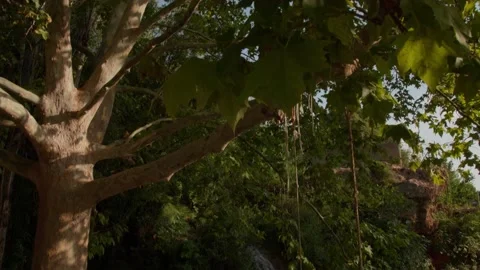 Small spring running down in between vegetation. Stock Footage 155445603