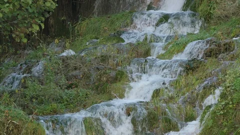 Small springs flowing Stock Footage 87833253